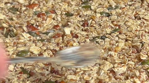 HOMEMADE GRANOLA BEATS STORE-BOUGHT! 🤯🍯