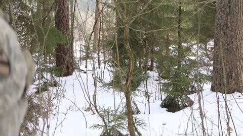 US Army Soldiers and Lithuanian Volunteer Forces conduct Force on Force Exercise