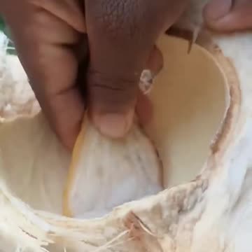 Sip into Serenity with Luxurious Coconut Libations