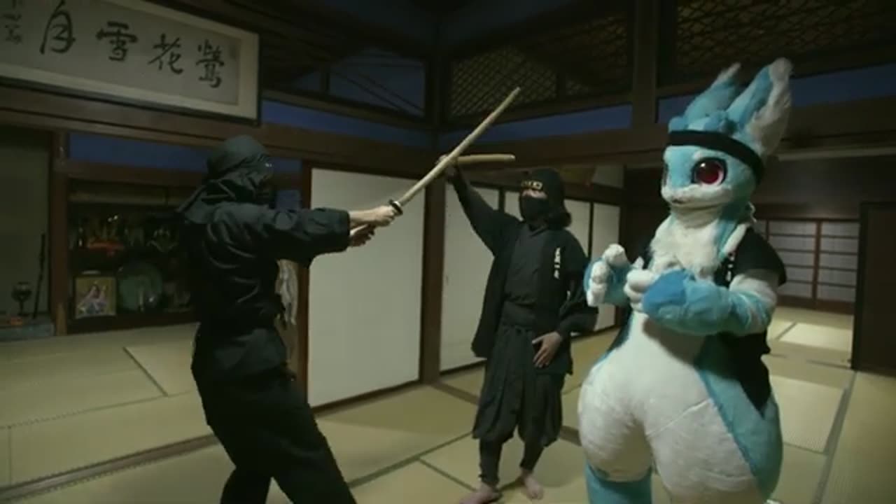 FURSUIT NINJA