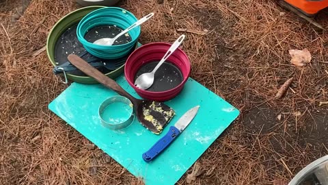 Slang Pond Campsite, Saint Regis Canoe Area (Adirondacks State Park, NY) 7