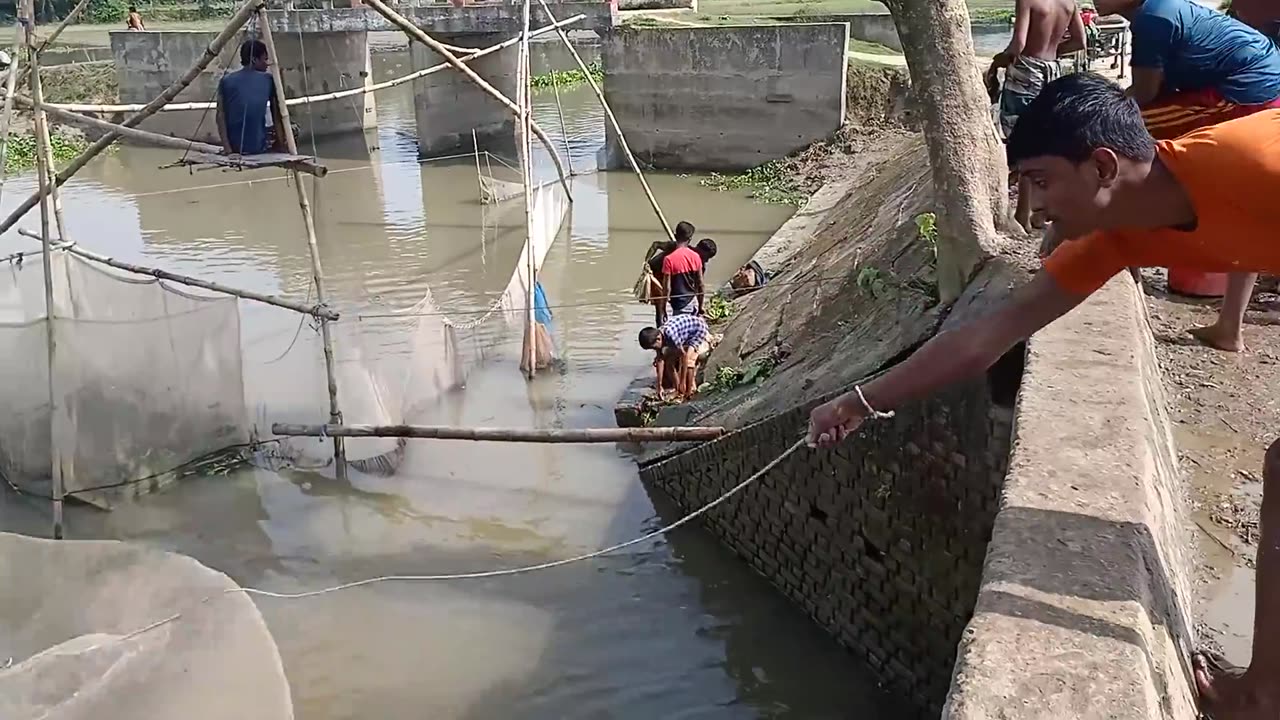 Just fish and fish as soon as the net is dropped