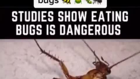 Bug proteins, pathogens, & parasites