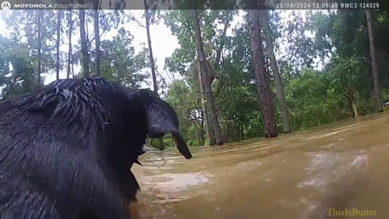 HPD officer rescues man and three dogs stuck in up to 10 feet of water