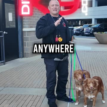 Before Getting a New Puppy WATCH THIS