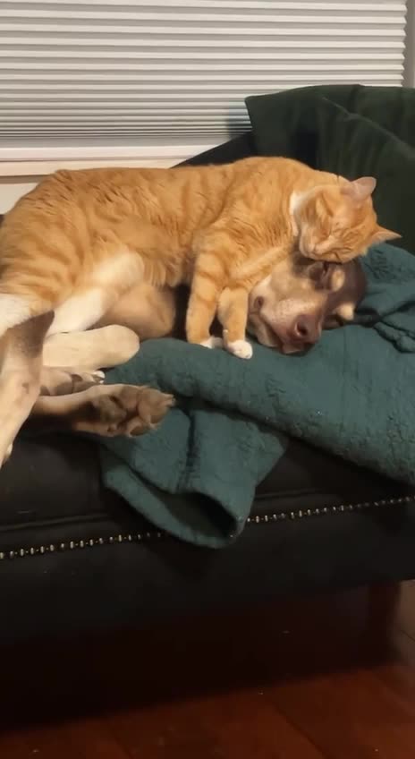 Love is in the air 😊