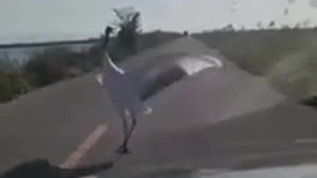 entertainment on the road