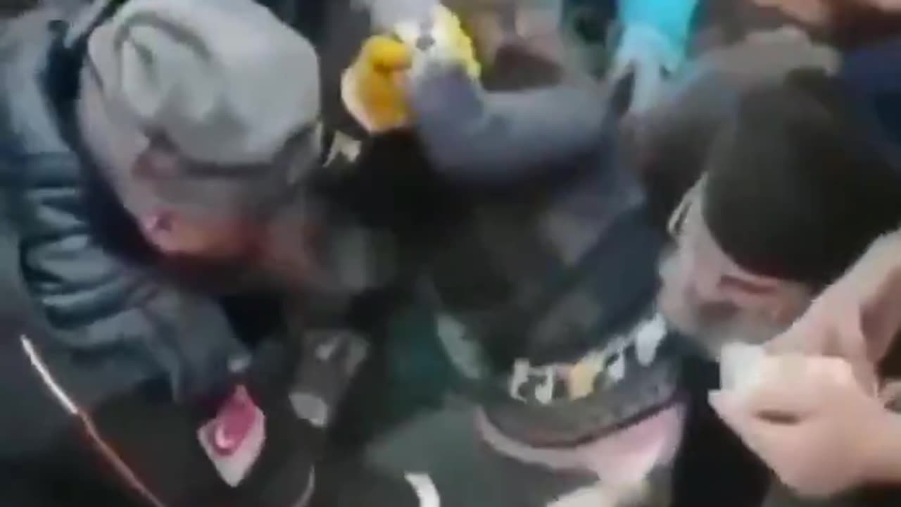 Turkish emergency crews save a little girl from a collapsed building