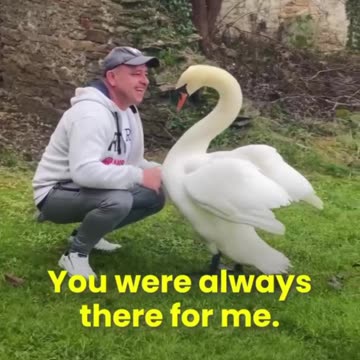 Shorts - Have A Great Day