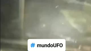 Real ou Fake? 🤔😱