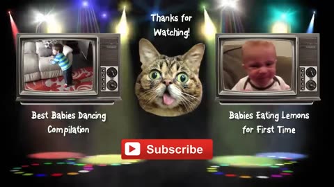 Adorable Babies Playing With Dogs and Cats - Funny Babies Compilation