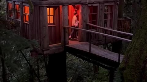 Awesome treehouse