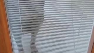 We had Company!