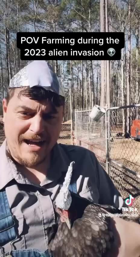 Tinfoil hat Chickens 😂😂😂