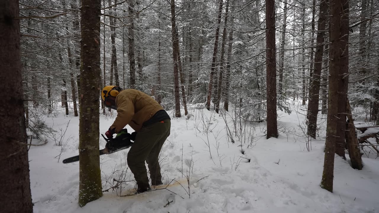 3 Days Winter Camping and Helping Build a Log Cabin