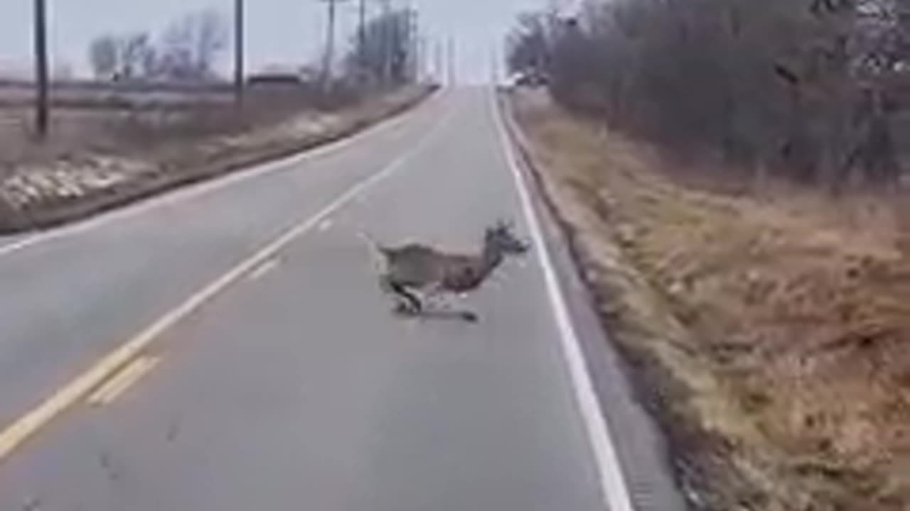 Można się pozbierac
