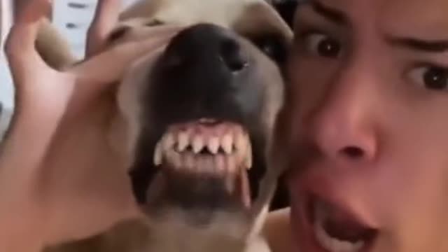 the definition of "I laugh in the face of danger"