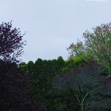 reason to smile because we already have to cry 18