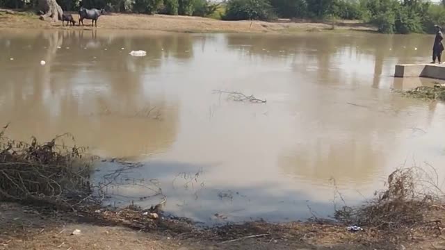 After Flood In Pakistan