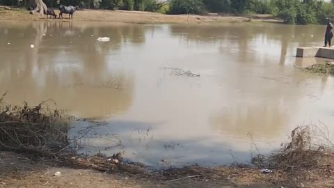 After Flood In Pakistan