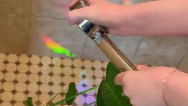 I got the best shower head 🚿