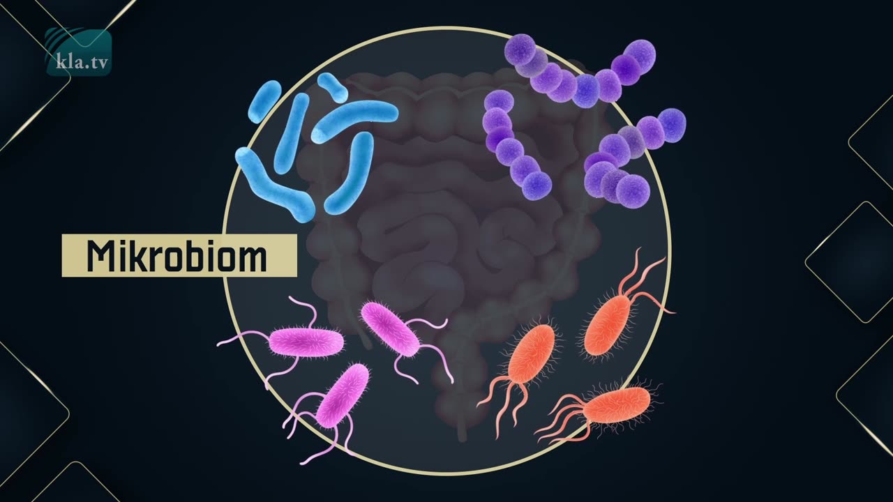 Will Covid-19 be followed by a tuberculosis pandemic.... – and will antibiotics no longer help?