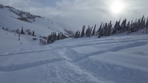 Jan 29th just past cherry ridge some sweet pow and a No Mas from me