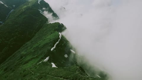 Relaxing Music | Sleeping, Meditation, Stress Relief | [6958] ⭐️