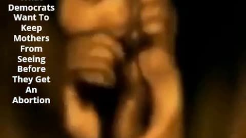 Baby In The Womb