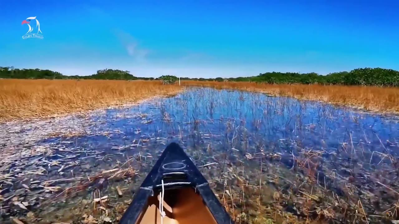 13 Curiosidades da Cidade de Miami-Florida.