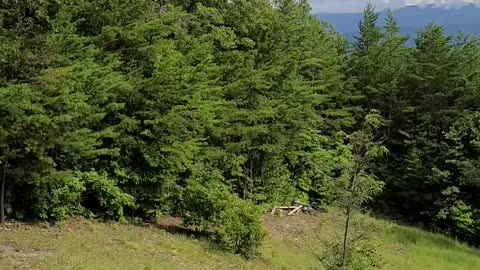 See 3 states from the porch of this house.