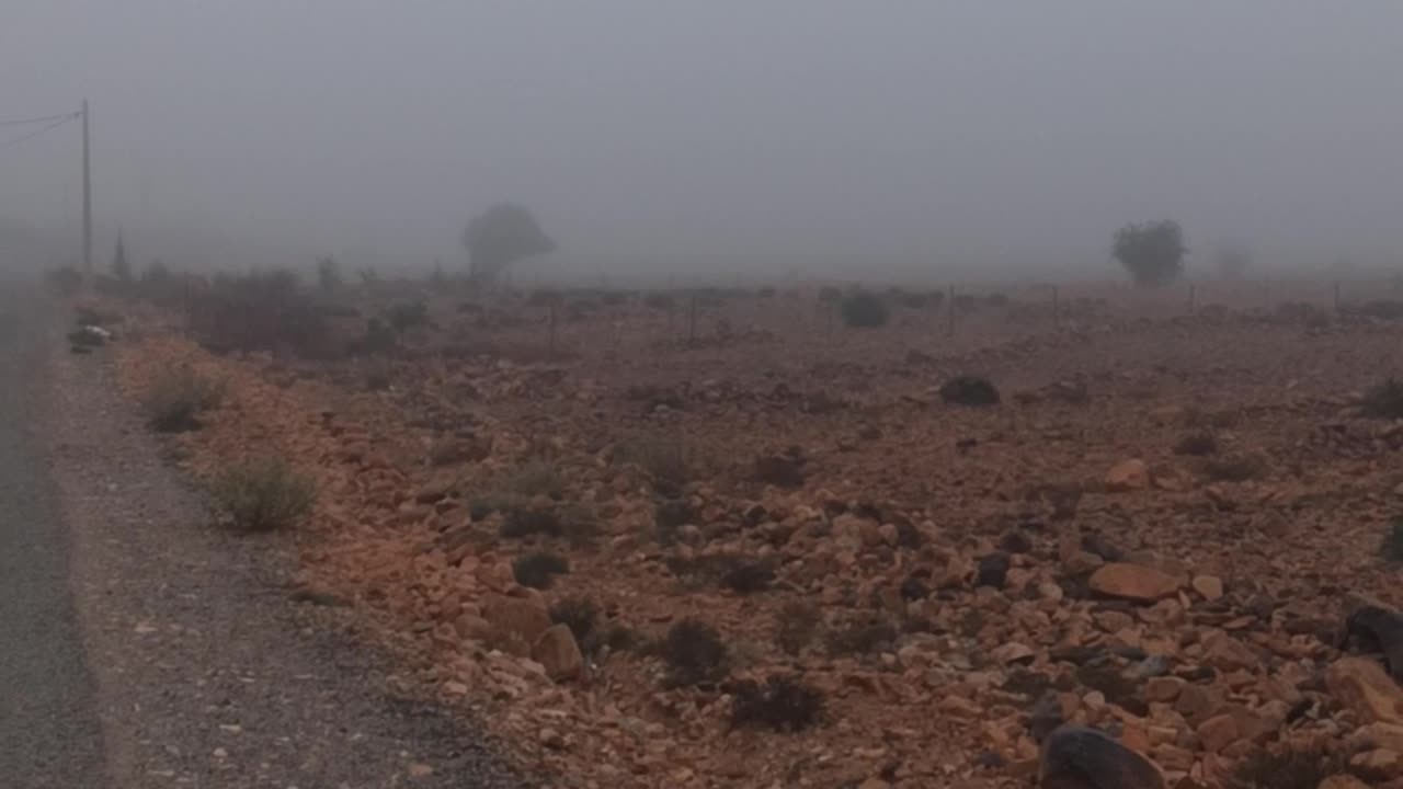 الصباح الباكر