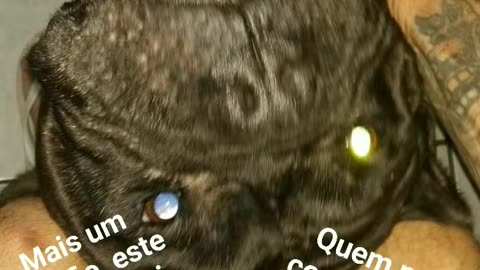 Cirurgia do Bruce