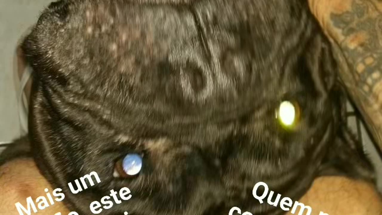 Cirurgia do Bruce