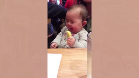 Funny cute babies eating lemon😂