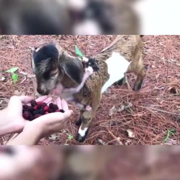 Most unusual friends!