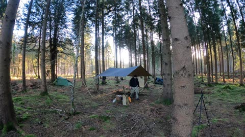 Woodland wildcamping speedlapse 20th Jan 2023