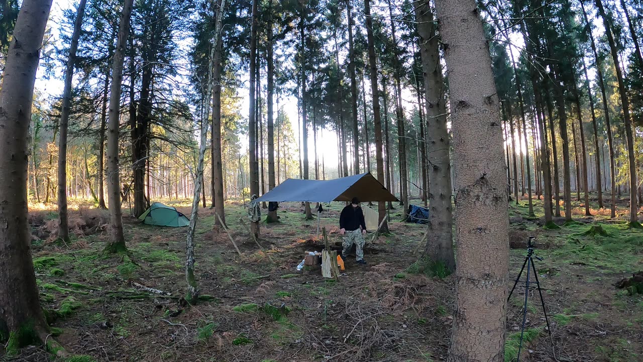 Woodland wildcamping speedlapse 20th Jan 2023