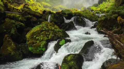 Relaxing Rainwater Sound