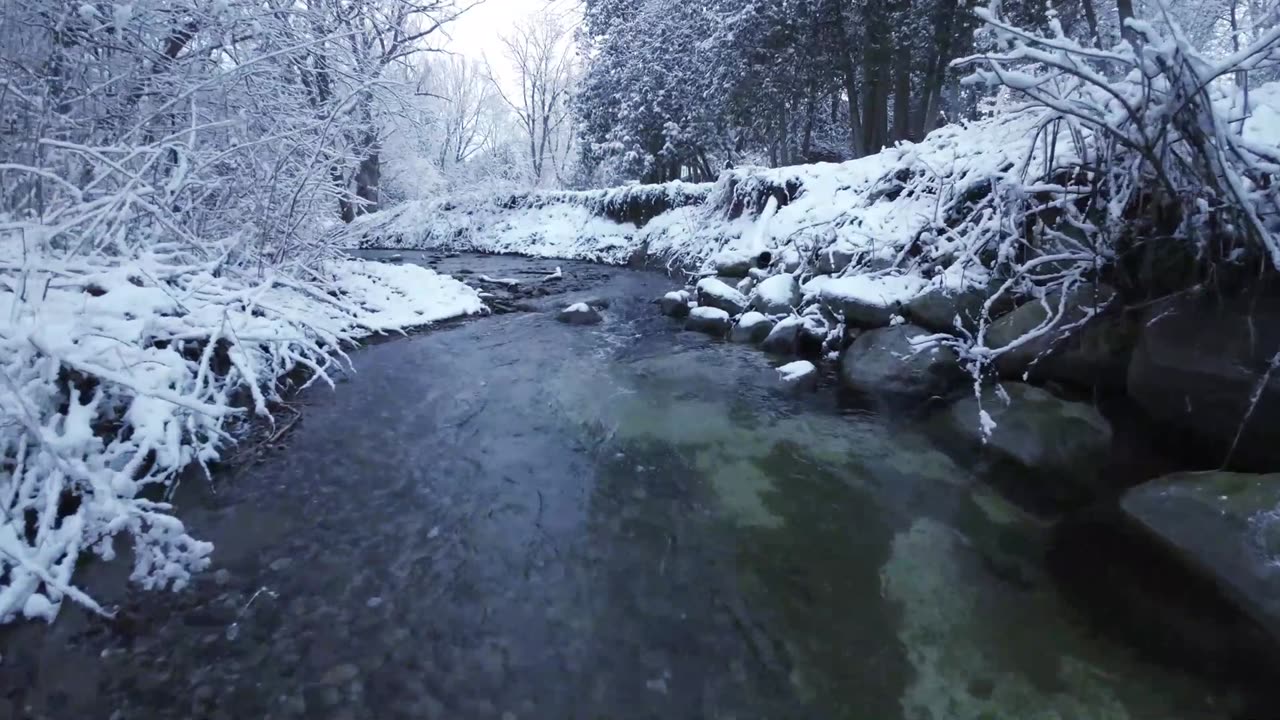 Winter Harmony