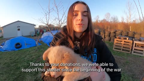 Beautiful Shelter Dog in Ukraine Rescued!