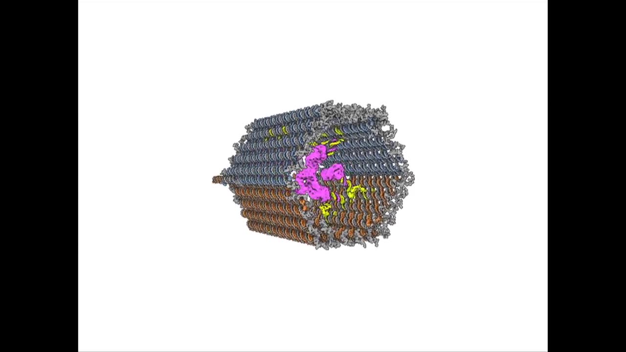 A CELL -TARGETED PAY- LOAD -DELIVERING DNA 🧬 NANOROBOT