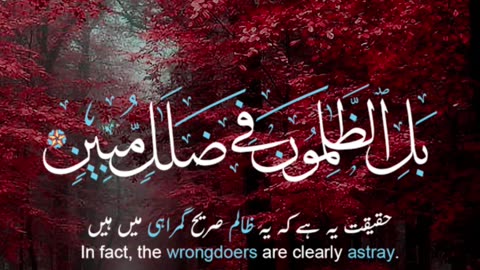 This is Allah creation