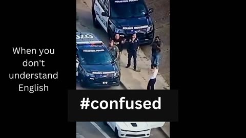 HILARIOUS VIDEO. Cops confuse a suspect who does not understand English