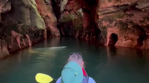 Nature is awesome