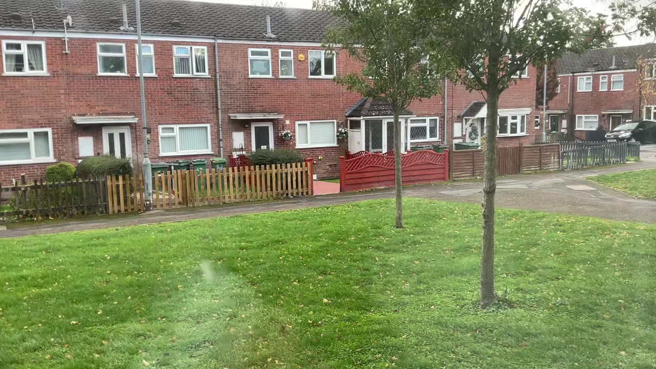 view at the back of mine