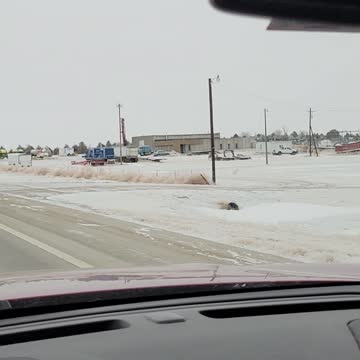 BIG Martin 6 TX to WY Migration Cat Creek, CO