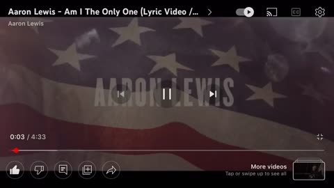 Aaron Lewis : Am I the only one ? - music