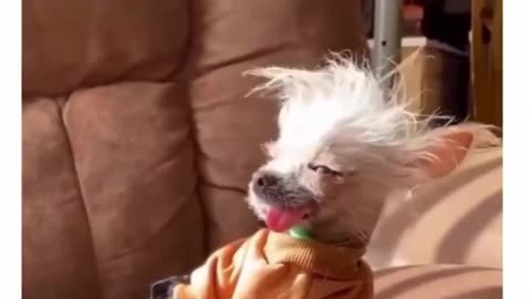 When You've Already Given Your All