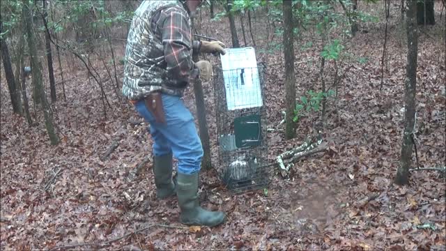 Live Trapping Catch and Release